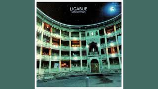 Ligabue - Dove fermano i treni (Versione acustica remastered) - HQ