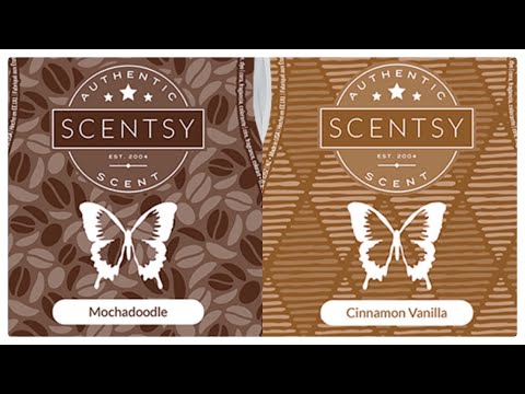 Tester Tuesday #81 Mochadoodle and Cinnamon Vanilla (Scentsy Reviews)