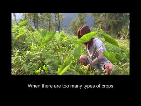 Young Farmer- Wei Kuang-li