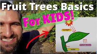 Gardening for Kids! Fruit Tree Basics | Science for Homeschool and Public