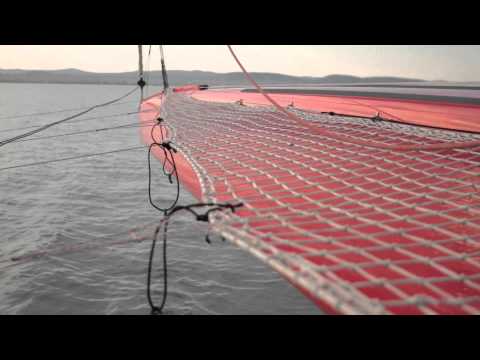 FIFTY FIFTY SHORT STORY