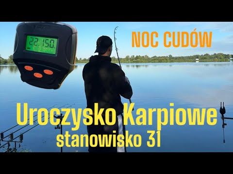 Noc cudów - Uroczysko Karpiowe w sierpniu - stanowisko 31