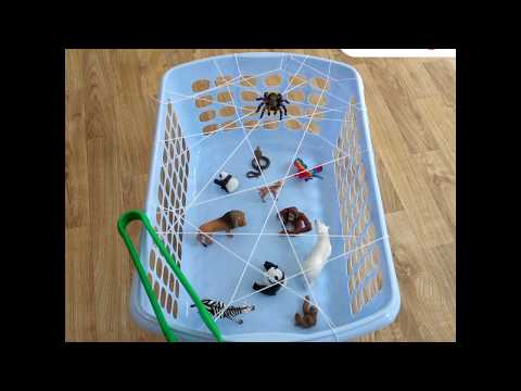 SCHLEICH figūrėlė Baltauodegio elnio mažylis video