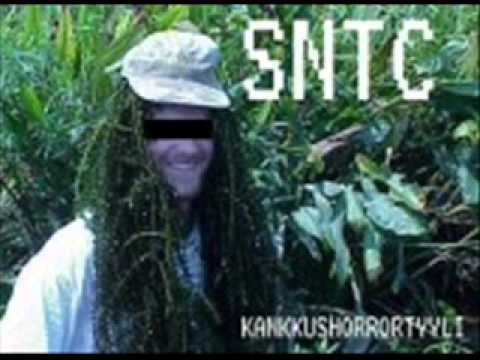 SNTC Family - Elämisen sietämätön leveys