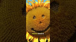 Download lagu --- 🎥 Title: “The Magic of Nature” | Kids Poem mp3 Download lagu --- 🎥 Title: “The Magic of Nature” | Kids Poem mp3