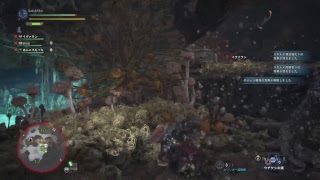 #13 [MHW]武器と防具を揃えていこうかな・・・