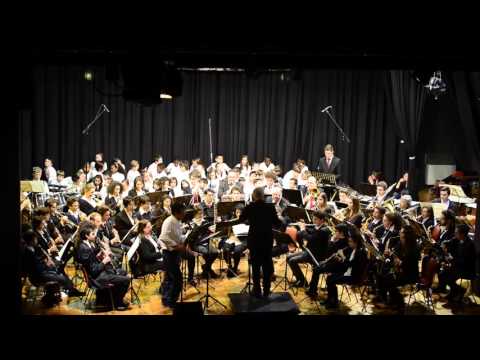 I musicanti di Brema - Angelo Sormani