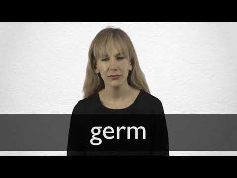 grems definition