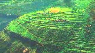 كلمات اغنية ابو حسن يقول توحة