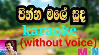 pinna male suda karaoke without voice