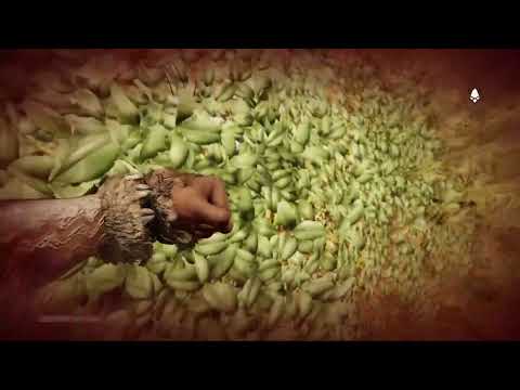 Zagrajmy w Far Cry Primal odc.31 Ratowanie Łindży