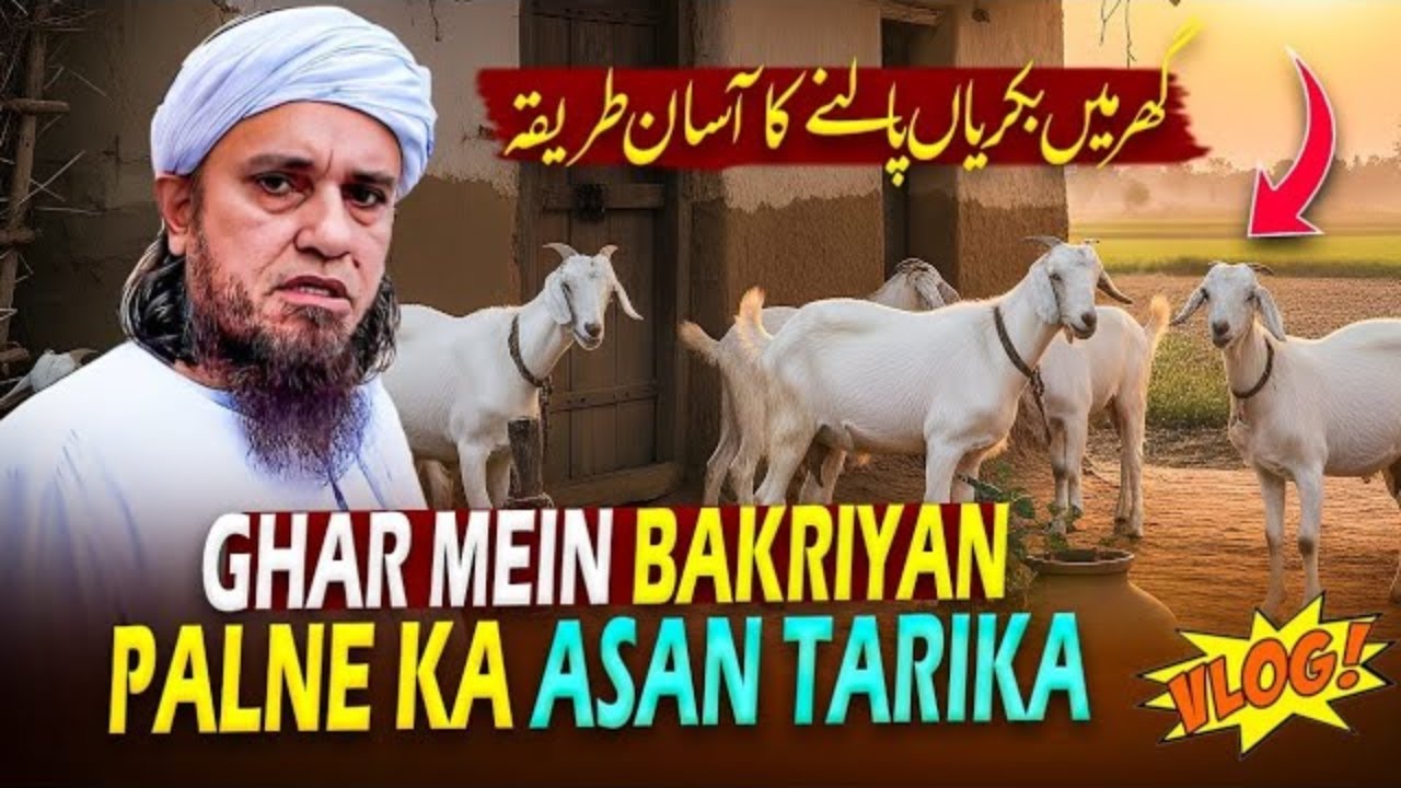 Ghar Mein Bakriyan Palne Ka Asan Tarika 2025 | Mufti Tariq Masood Vlogs