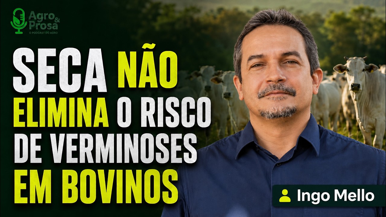 Seca mantém bovinos expostos ao risco de verminoses