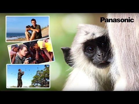 Panasonic Lumix FZ300 test - 4K