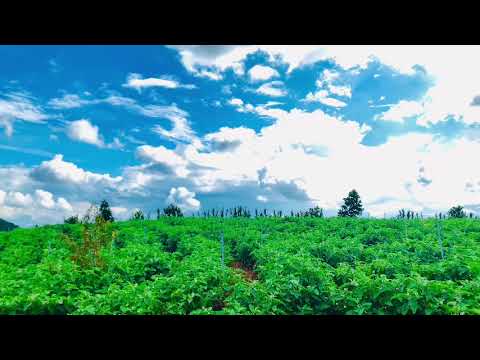 Bán đất 1700m2 ven sông Đa Nhim  Đức Trọng - Đà Lạt, Lâm Đồng