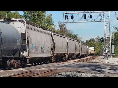 Tropicana was given permission to run the red signal while the train on track one overtakes it