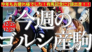 今週のゴールドシップ産駒 (12/27,28)【年末のグランプリ！有馬記念に2頭出走！！／メイショウタバル,マイネルエンペラーなど】