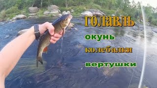Вертушки при ловле голавля