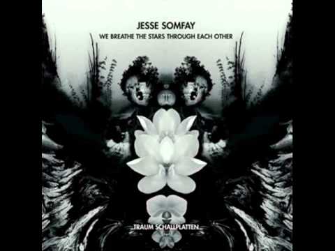 Jesse Somfay - This Fragile Addiction