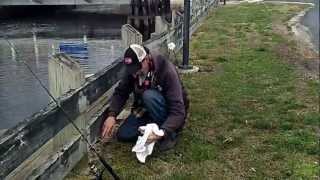 preview picture of video 'Neighbor Dave Catch and Release Shad on the Pocomoke River'