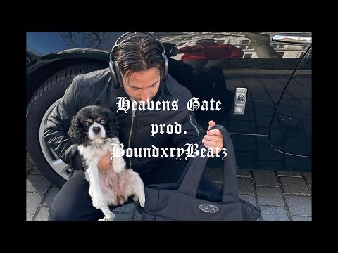 |Free| Souly x Yung Hurn Type Beat – Heavens Gate [prod. BoundxryBeatz]