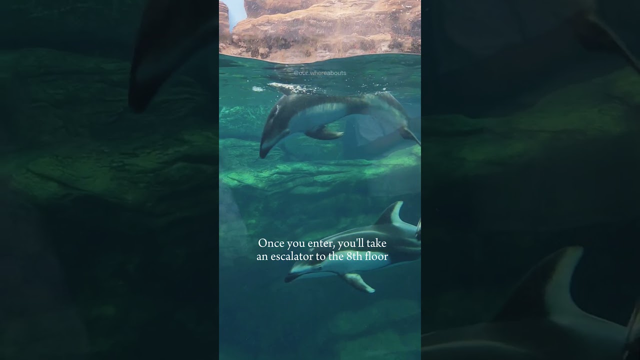 YouTube Short thumbnail