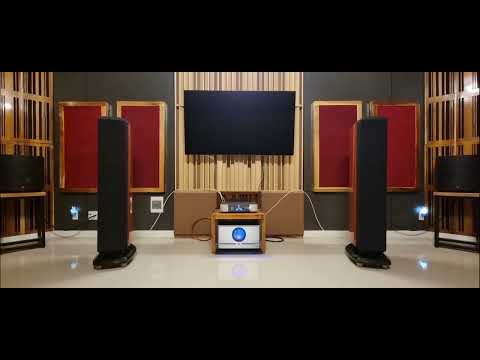 Let the music flow - Revel Salon 2 and Pass Labs X350.8