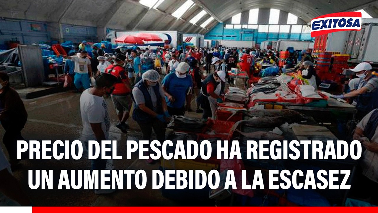 🔴🔵 Precio del pescado se eleva por escasez debido al calentamiento del mar