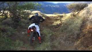 ++The Garden Snake | Accidental Broadcast