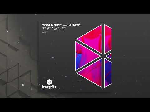 Tom Noize feat. Anaté - The Night [Inkognito Records]