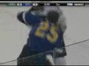 Steve Ott vs Yan Stastny
