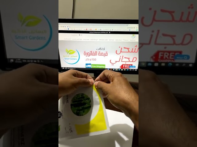 بذور خيار الفريد F1 هجين