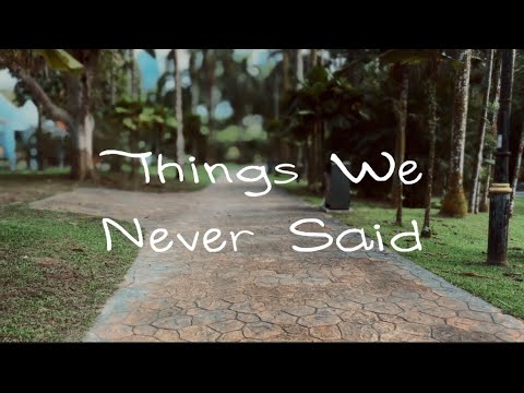 Things we never Said - Chill Version | Inspired Alan Walker / illenium