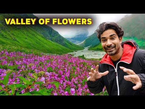 Secret of Valley Of Flowers, Don’t Do This Trek Without Watching This Vlog