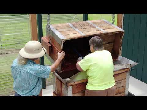 Fermenting Cacao - Turning the Beans