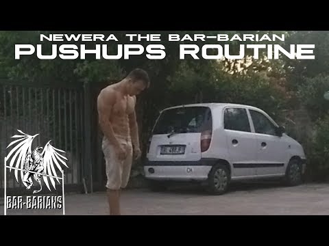 Pushups  Routine - 1 to 10 Ladders - 1st And 11th Round