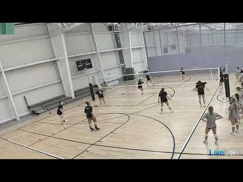 Vortex Legends 17 Adidas Black vs Legends 16 Adidas