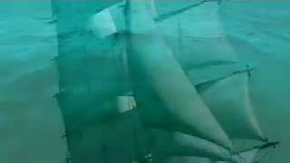 Voyage to Valor: Holy Moses Promo