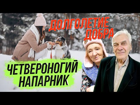 Четвероногий напарник / Долголетие добра | СТРИМ ОТС LIVE — 28 ноября
