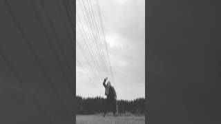 2026.06.16#edmtok #edmtiktok #electronicmusic #shorts #alfalca
