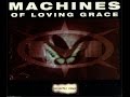 Machines of Loving Grace: Butterfly Wings (LP version)