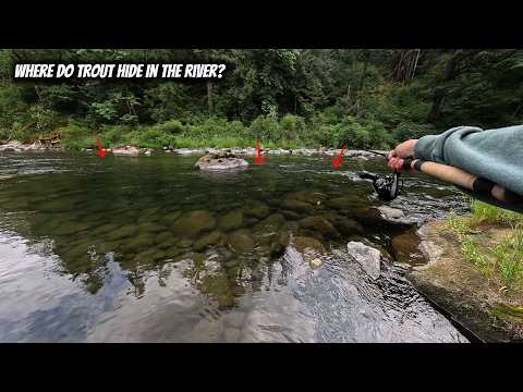 How to Find Trout on the River!