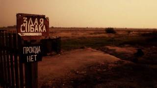 Кафе «Осторожно, злая собака!»