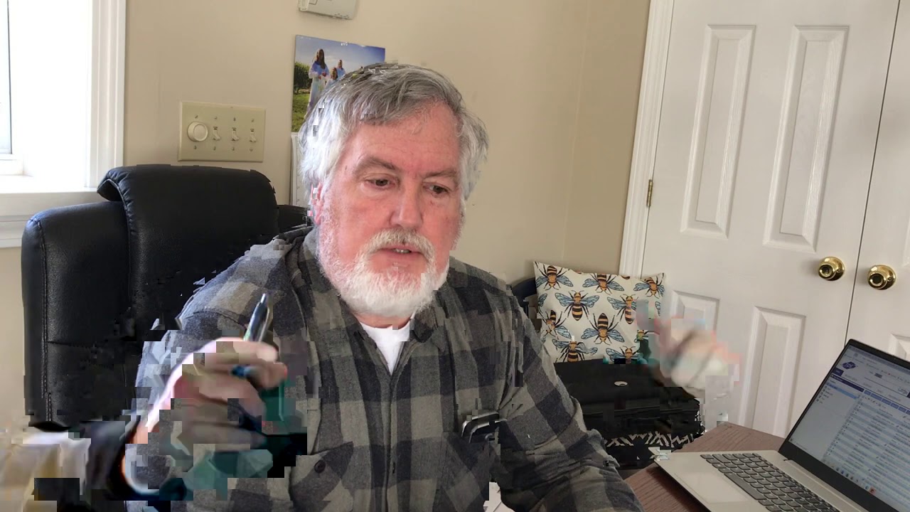 Virtual Beekeeping for beginners class with the Bee Whisperer,