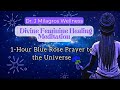 Blue Rose Prayer to the Universe | Divine Feminine Healing Meditation
