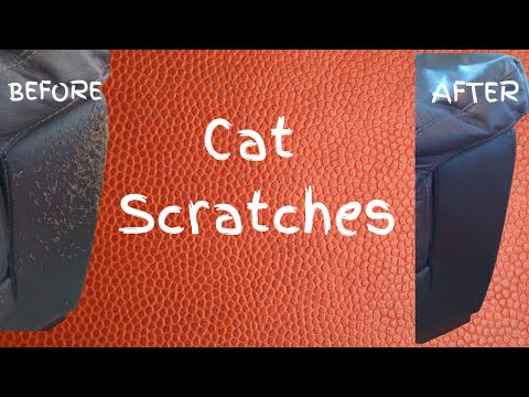 How To Repair Cat Scratches on a Leather sofa