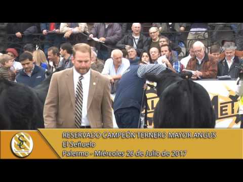 26-07-17 Jura Angus Ternero Mayor - Palermo.