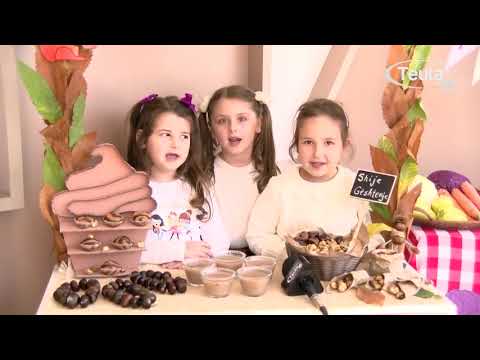 Kopështi Xixëllonjat - Programi i vjeshtës