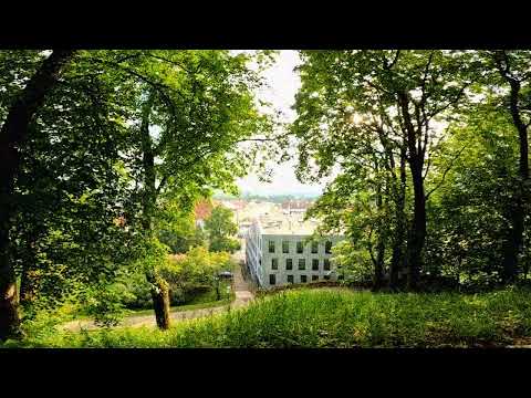 SUPERVAIKNE - ÜHEL ILUSAL PÄEVAL