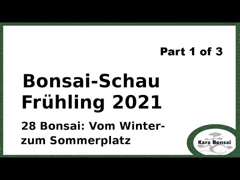 2021 Bonsaischau Teil 1 - Vom Winter- zum Sommerquartier - Bonsaishow Part 1 - Winter to Summerplace